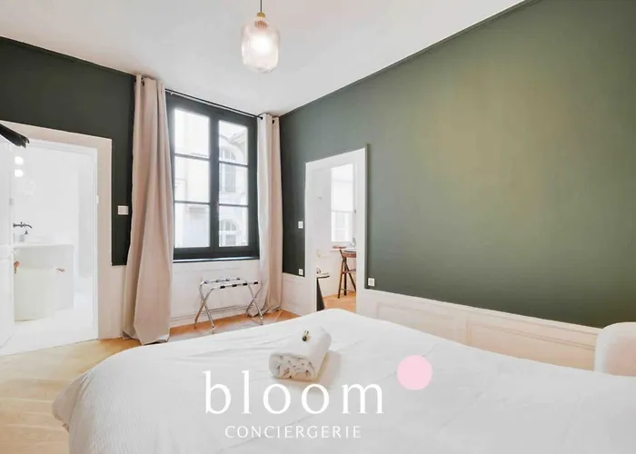 Le Raugraff - Plein Centre Superbe F2 Apartman *